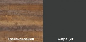 Кухонный гарнитур угловой Трансильвания 2600х1600 мм (Стол. 26 мм) в Лысьве - lysva.mebel24.online | фото 3