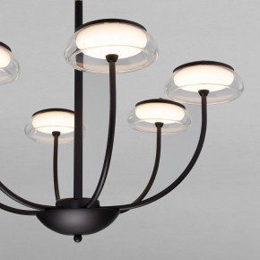 Люстра на штанге Eurosvet Fungo 50388 LED черный в Лысьве - lysva.mebel24.online | фото 5
