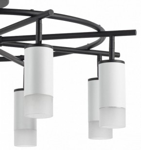 Люстра на штанге Lightstar Rullo LR7183681 в Лысьве - lysva.mebel24.online | фото 4
