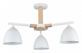Люстра на штанге Lumion Colange 8095/3C в Лысьве - lysva.mebel24.online | фото