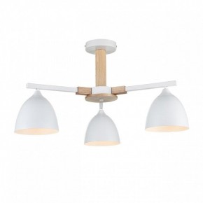 Люстра на штанге Lumion Colange 8095/3C в Лысьве - lysva.mebel24.online | фото 2