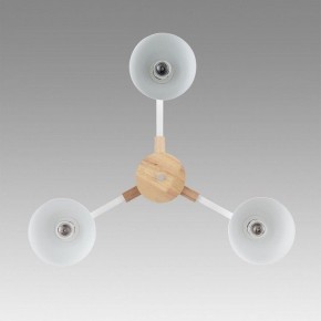 Люстра на штанге Lumion Colange 8095/3C в Лысьве - lysva.mebel24.online | фото 3