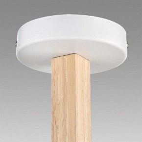 Люстра на штанге Lumion Colange 8095/3C в Лысьве - lysva.mebel24.online | фото 9