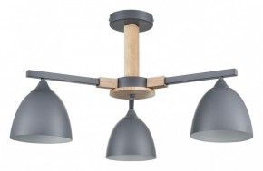 Люстра на штанге Lumion Colange 8096/3C в Лысьве - lysva.mebel24.online | фото