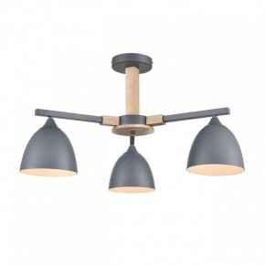 Люстра на штанге Lumion Colange 8096/3C в Лысьве - lysva.mebel24.online | фото 2
