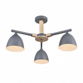 Люстра на штанге Lumion Colange 8096/3C в Лысьве - lysva.mebel24.online | фото 3