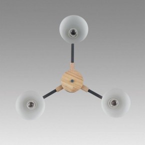 Люстра на штанге Lumion Colange 8096/3C в Лысьве - lysva.mebel24.online | фото 4