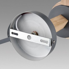 Люстра на штанге Lumion Colange 8096/3C в Лысьве - lysva.mebel24.online | фото 6