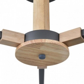 Люстра на штанге Lumion Colange 8096/3C в Лысьве - lysva.mebel24.online | фото 7