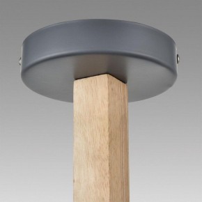 Люстра на штанге Lumion Colange 8096/3C в Лысьве - lysva.mebel24.online | фото 9