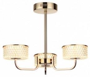 Люстра на штанге Lumion Venice 6579/40CL в Лысьве - lysva.mebel24.online | фото 5