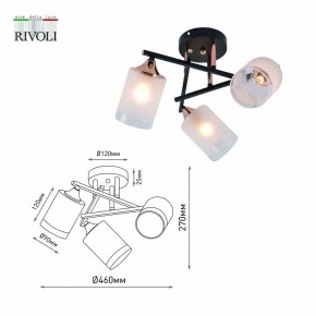 Люстра на штанге Rivoli Fiona Б0059259 в Лысьве - lysva.mebel24.online | фото
