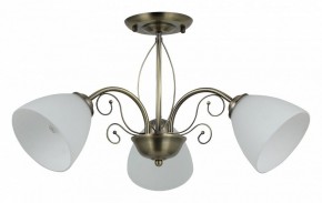 Люстра на штанге Rivoli Sue Б0060985 в Лысьве - lysva.mebel24.online | фото