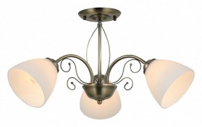 Люстра на штанге Rivoli Sue Б0060985 в Лысьве - lysva.mebel24.online | фото 2