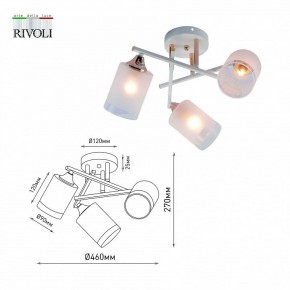 Люстра на штанге Rivoli Tammy Б0059258 в Лысьве - lysva.mebel24.online | фото