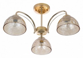 Люстра на штанге Rivoli Terri Б0060988 в Лысьве - lysva.mebel24.online | фото 2