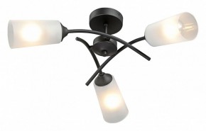 Люстра на штанге Vitaluce V2850 V2850-1/3PL в Лысьве - lysva.mebel24.online | фото 2
