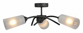 Люстра на штанге Vitaluce V2850 V2850-1/3PL в Лысьве - lysva.mebel24.online | фото 3