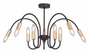Люстра на штанге Vitaluce V3026 V3026-1/10PL в Лысьве - lysva.mebel24.online | фото 2