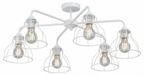 Люстра на штанге Vitaluce V3102 V3102-0/6PL в Лысьве - lysva.mebel24.online | фото