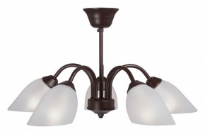 Люстра на штанге Vitaluce V3335 V3335-7/5PL в Лысьве - lysva.mebel24.online | фото
