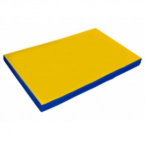 Мат гимнастический 2х1х0,05м цв. синий-желтый в Лысьве - lysva.mebel24.online | фото 1