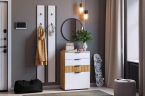 МЕБЕЛЬСОН К21 Прихожая в Лысьве - lysva.mebel24.online | фото