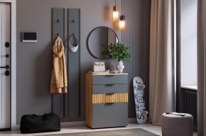 МЕБЕЛЬСОН К21 Прихожая в Лысьве - lysva.mebel24.online | фото 2