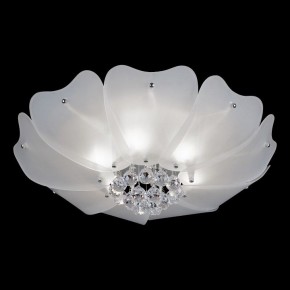 Накладной светильник Lightstar Lobo 804020 в Лысьве - lysva.mebel24.online | фото 2