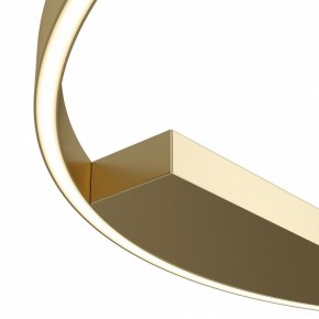 Накладной светильник Maytoni Rim MOD058CL-L50BSK в Лысьве - lysva.mebel24.online | фото 4