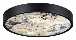 Накладной светильник Odeon Light Bergi 5064/24L в Лысьве - lysva.mebel24.online | фото 4