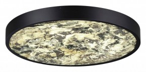 Накладной светильник Odeon Light Bergi 5064/40L в Лысьве - lysva.mebel24.online | фото 3