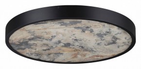Накладной светильник Odeon Light Bergi 5064/40L в Лысьве - lysva.mebel24.online | фото 6