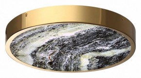 Накладной светильник Odeon Light Bergi 5079/30L в Лысьве - lysva.mebel24.online | фото 3