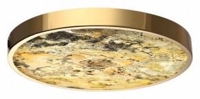 Накладной светильник Odeon Light Bergi 5079/40L в Лысьве - lysva.mebel24.online | фото 2