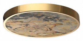 Накладной светильник Odeon Light Bergi 5079/40L в Лысьве - lysva.mebel24.online | фото 4