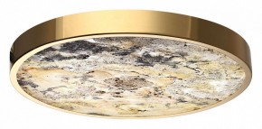 Накладной светильник Odeon Light Bergi 5079/40L в Лысьве - lysva.mebel24.online | фото 6