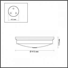 Накладной светильник Odeon Light Marsei 4824/4C в Лысьве - lysva.mebel24.online | фото 4