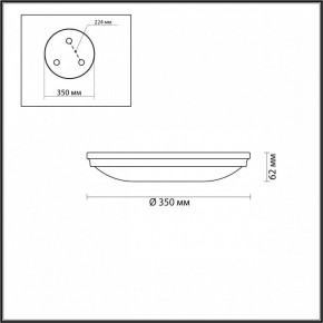 Накладной светильник Odeon Light Pelow 4956/4 в Лысьве - lysva.mebel24.online | фото 3