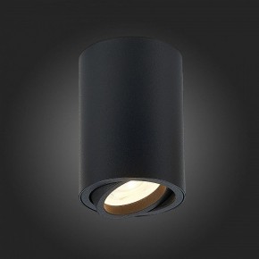 Накладной светильник ST-Luce Torus ST108.407.01 в Лысьве - lysva.mebel24.online | фото 4