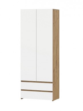 НЕКСТ 1 Шкаф двухстворчатый с ящиками в Лысьве - lysva.mebel24.online | фото 1