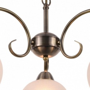 Подвесная люстра Arte Lamp Margo A9317LM-3AB в Лысьве - lysva.mebel24.online | фото 4