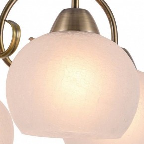 Подвесная люстра Arte Lamp Margo A9317LM-5AB в Лысьве - lysva.mebel24.online | фото 2