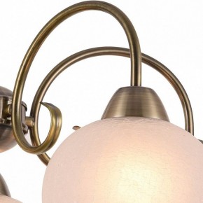 Подвесная люстра Arte Lamp Margo A9317LM-5AB в Лысьве - lysva.mebel24.online | фото 3