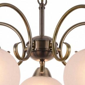 Подвесная люстра Arte Lamp Margo A9317LM-5AB в Лысьве - lysva.mebel24.online | фото 4