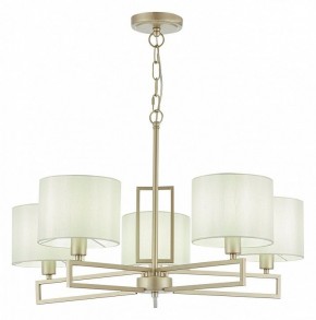 Подвесная люстра EVOLUCE Danae SLE105803-05 в Лысьве - lysva.mebel24.online | фото 2