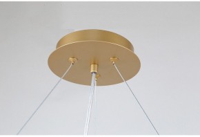 Подвесная люстра Favourite Ginkoa 4080-10P в Лысьве - lysva.mebel24.online | фото 9