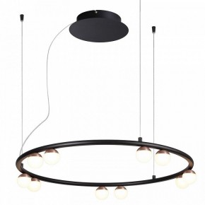 Подвесная люстра Favourite Knopp 4320-10P в Лысьве - lysva.mebel24.online | фото 2
