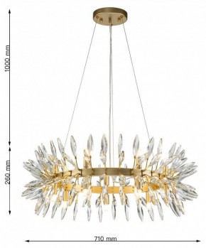Подвесная люстра Favourite Rays 4058-14P в Лысьве - lysva.mebel24.online | фото 7