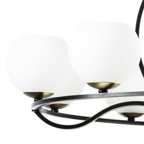 Подвесная люстра Lightstar Enna 762117 в Лысьве - lysva.mebel24.online | фото 4